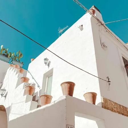 Cortellenica 우겐토